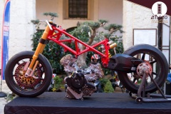 IMG_8765